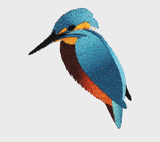 coloreel embroidery digitizing service - BitsNPixs